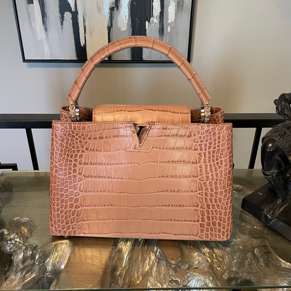 LV Crocodile Cappucines Bag